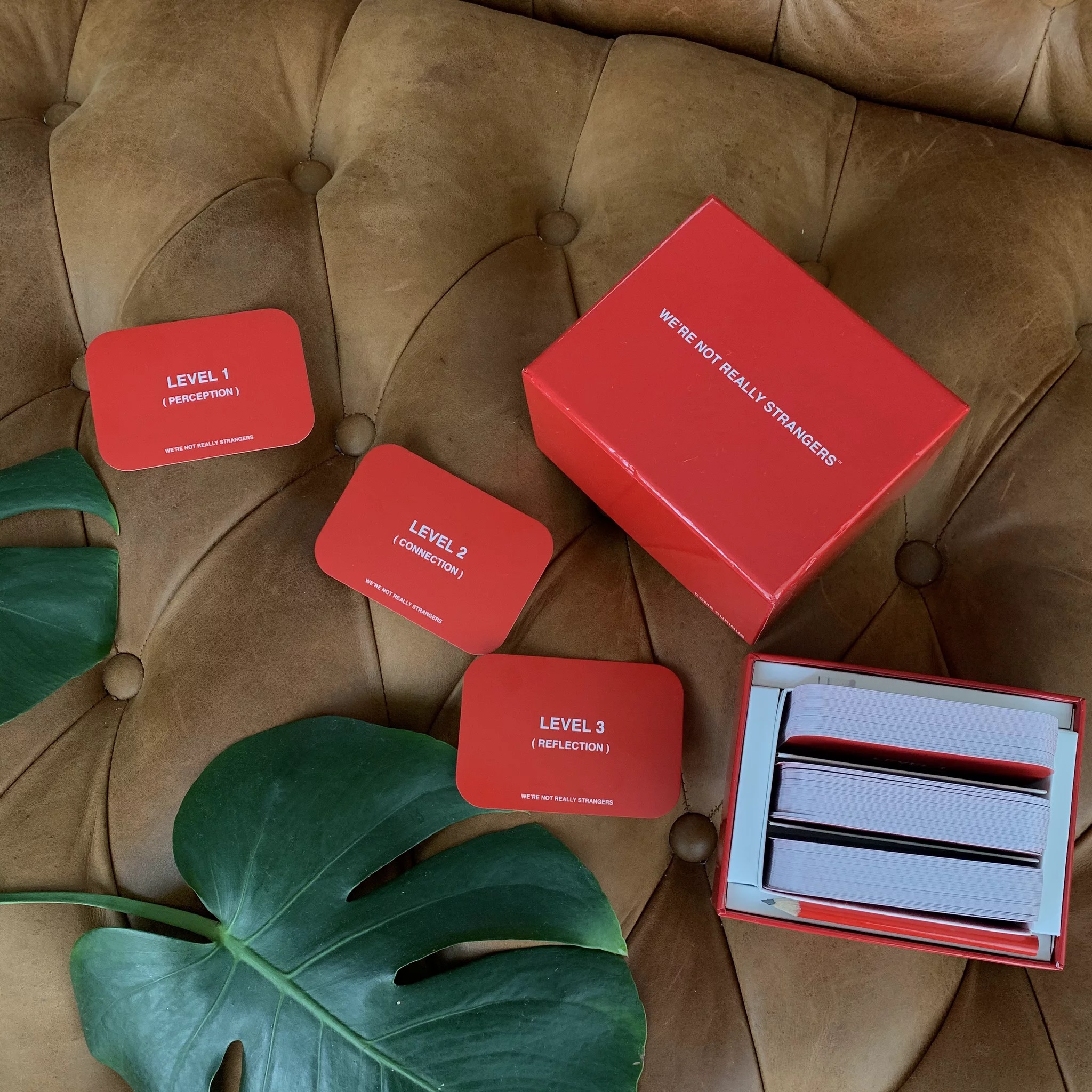 Bộ Trò Chơi WE'RE NOT REALLY STRANGERS - Board game vui nhộn