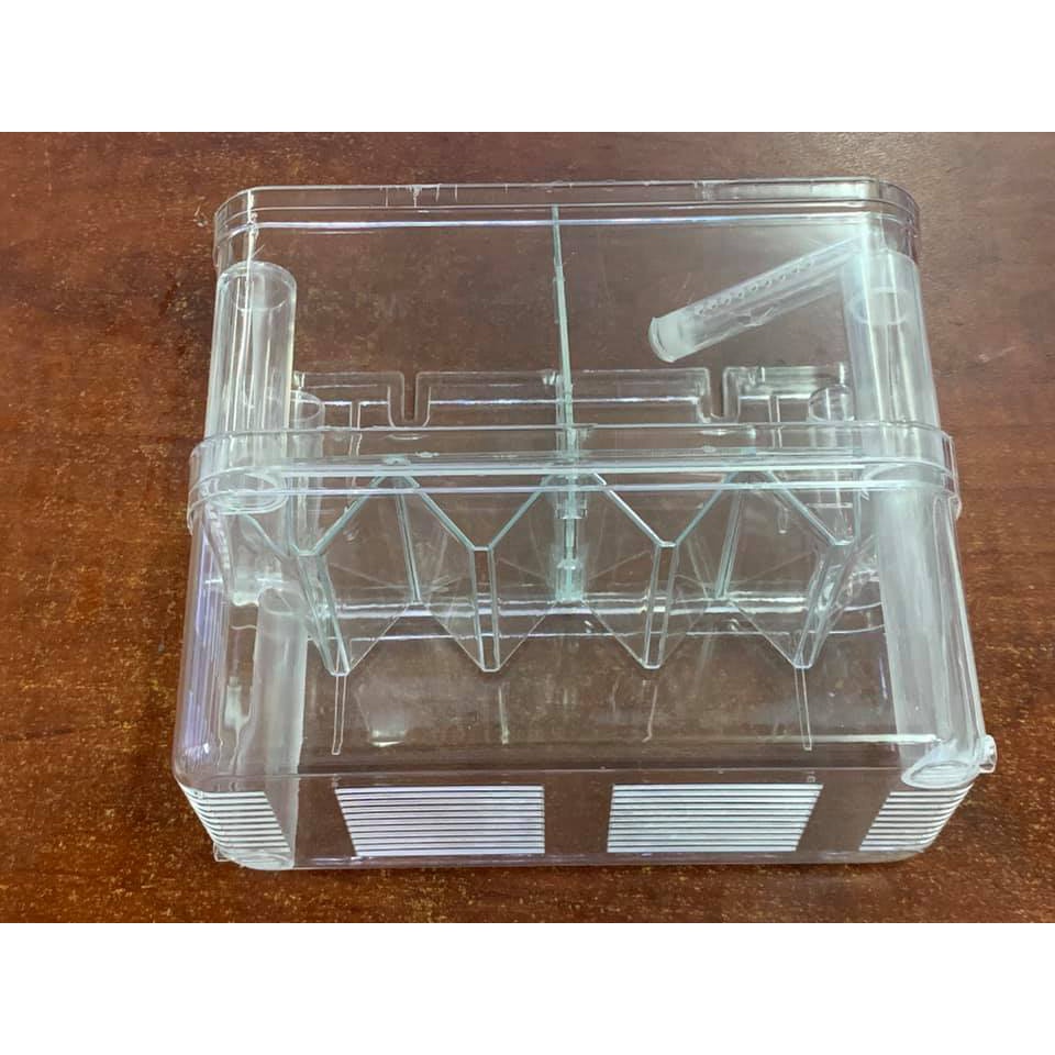 Lồng đẻ cho cá cảnh - lồng tách và dưỡng bệnh cá 7 màu, guppy