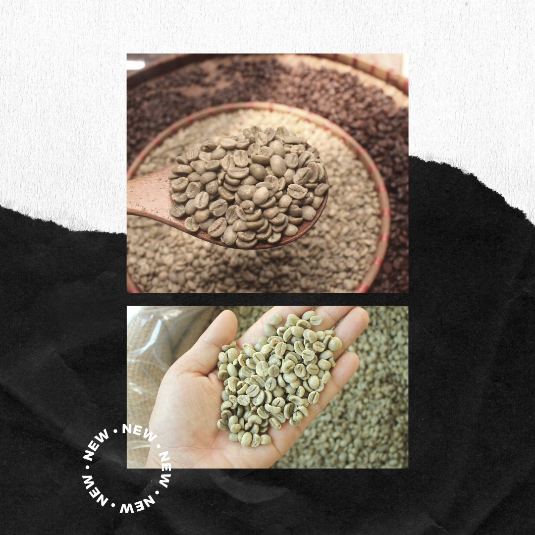 Cà Phê Nhân Sống ARABICA – Chưa Rang – Nguyên Liệu Sạch ( 1KG ) – No Brand – top1shop