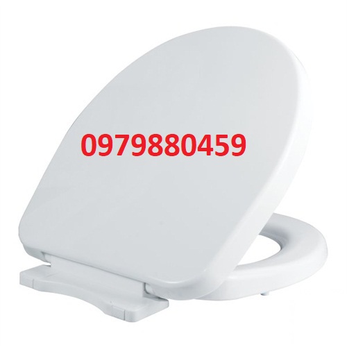 Nắp bàn cầu đống êm thay thế bàn cầu ToTo