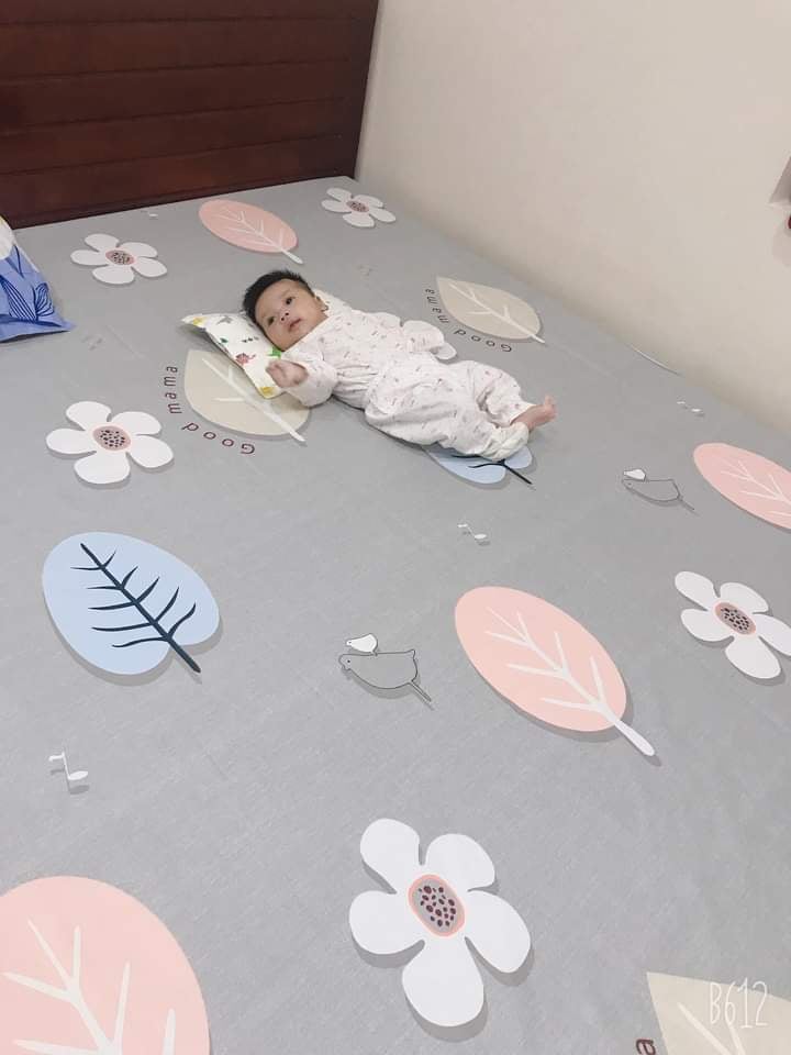 Ra chống thấm cao cấp Goodmama (ko vỏ gối)