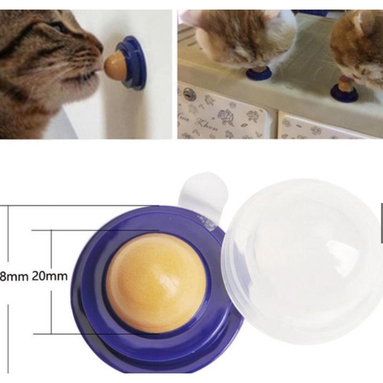 KẸO MÚT DÁN TƯỜNG / KẸO CỎ MÈO CATNIP