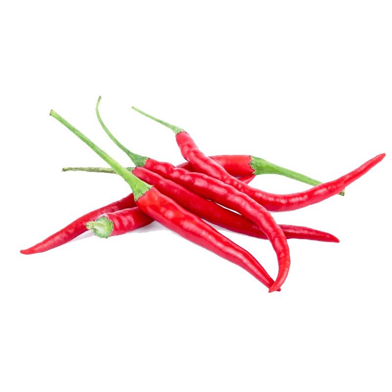 Hạt Giống Ớt Chỉ Thiên Siêu Cay
