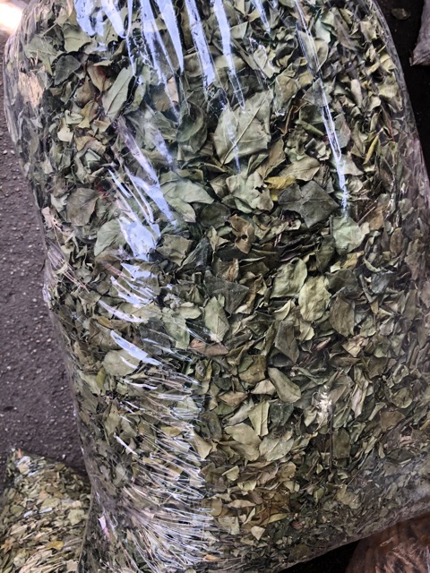 Lá thạch găng 500g