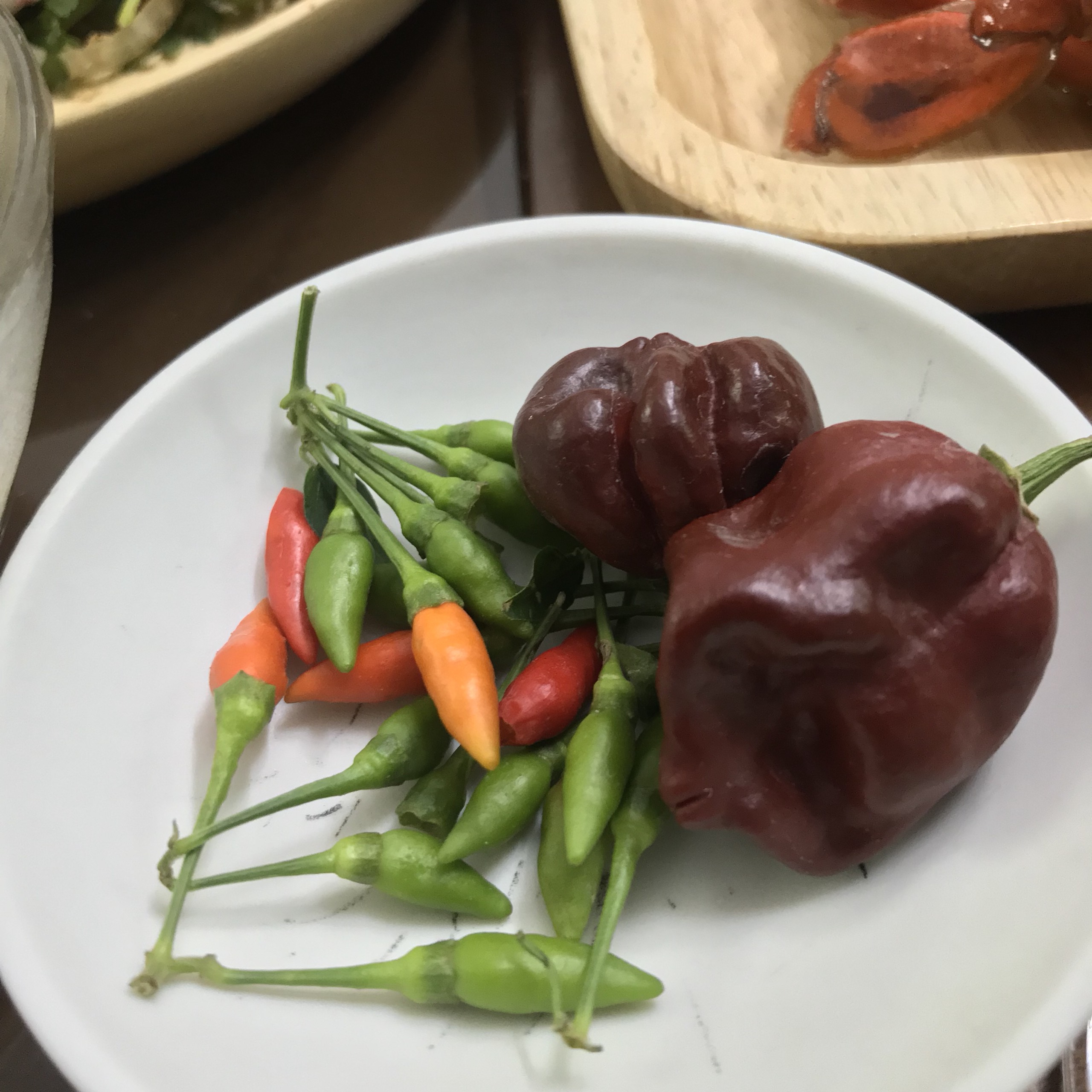 Hạt ớt Giống Habanero choco (5 hạt)
