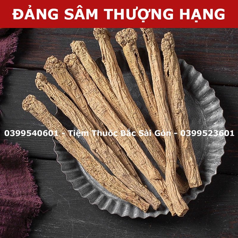 Đảng Sâm 100g - Phòng Đảng - Tiệm Thuốc Bắc Sài Gòn (Cọng sâm to, thơm ngon, date mới)