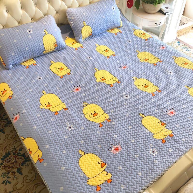 Chiếu Điều Hòa Tencel Hàng Nội Địa