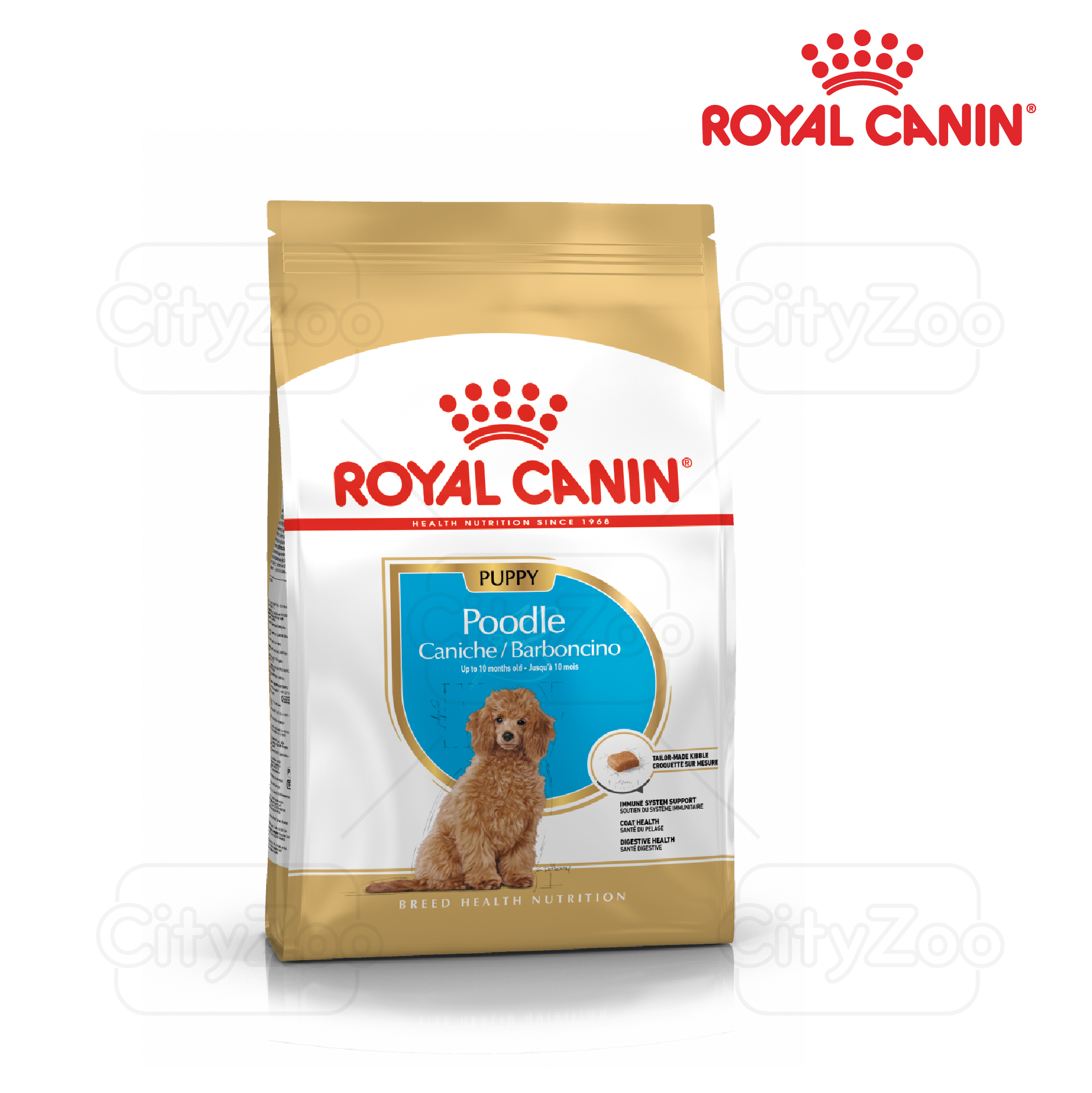 1.5kg royal canin poodle puppy