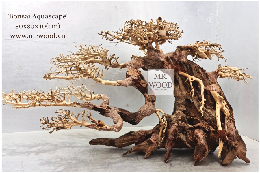 Lũa Bonsai Dáng Đổ Cho Hồ Thủy Sinh- Xưởng Mr Wood