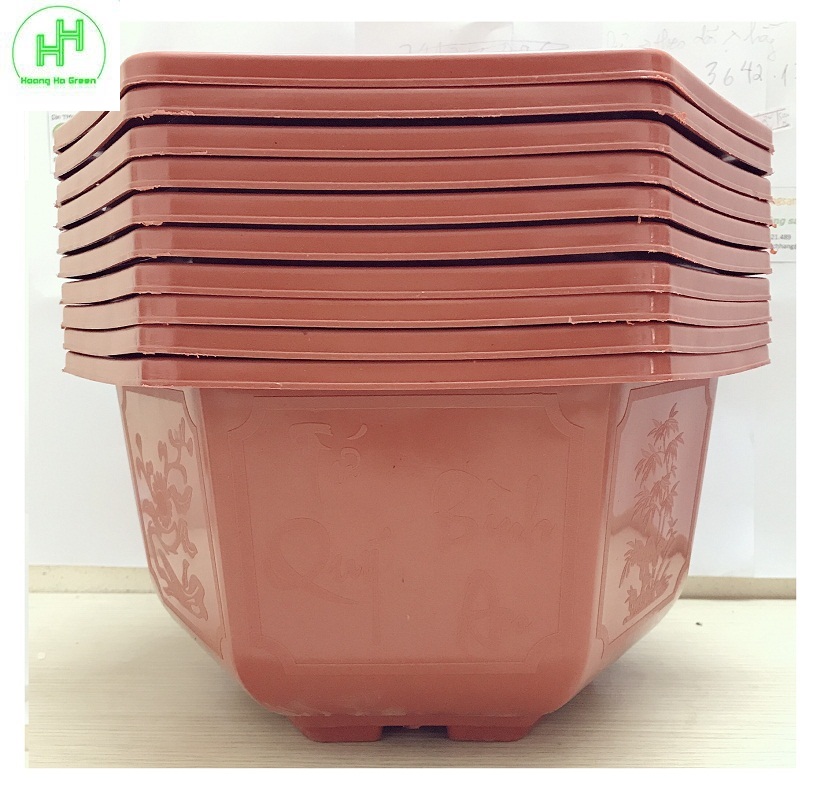 10 Chậu Nhựa Lục Giác Trồng Hoa, Cây Cảnh Bình Thuận Bonsai 280x180