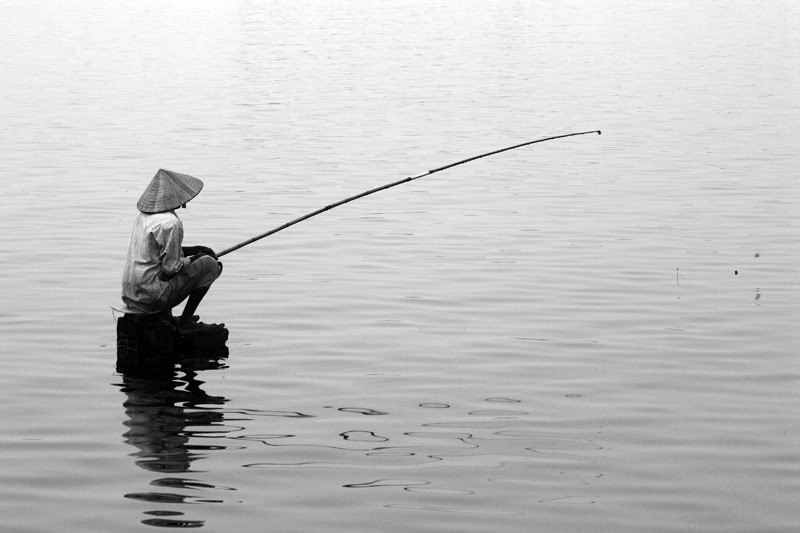 Túi Đựng Cá lớn nhỏ tùy chọn - Giỏ Đựng cá