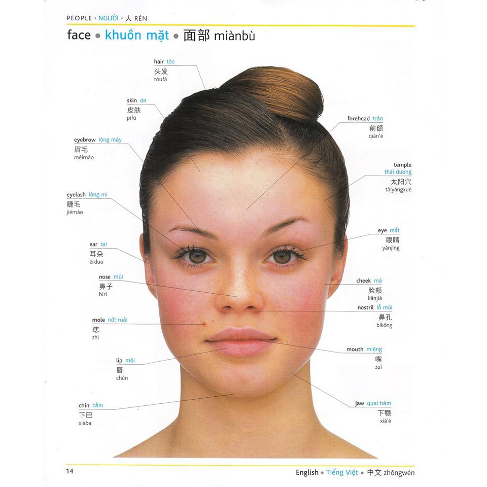 Book - Pons General Reference Trilingual Visual Dictionary Vietnamese–English–Chinese+With Mp3 for Online Listening