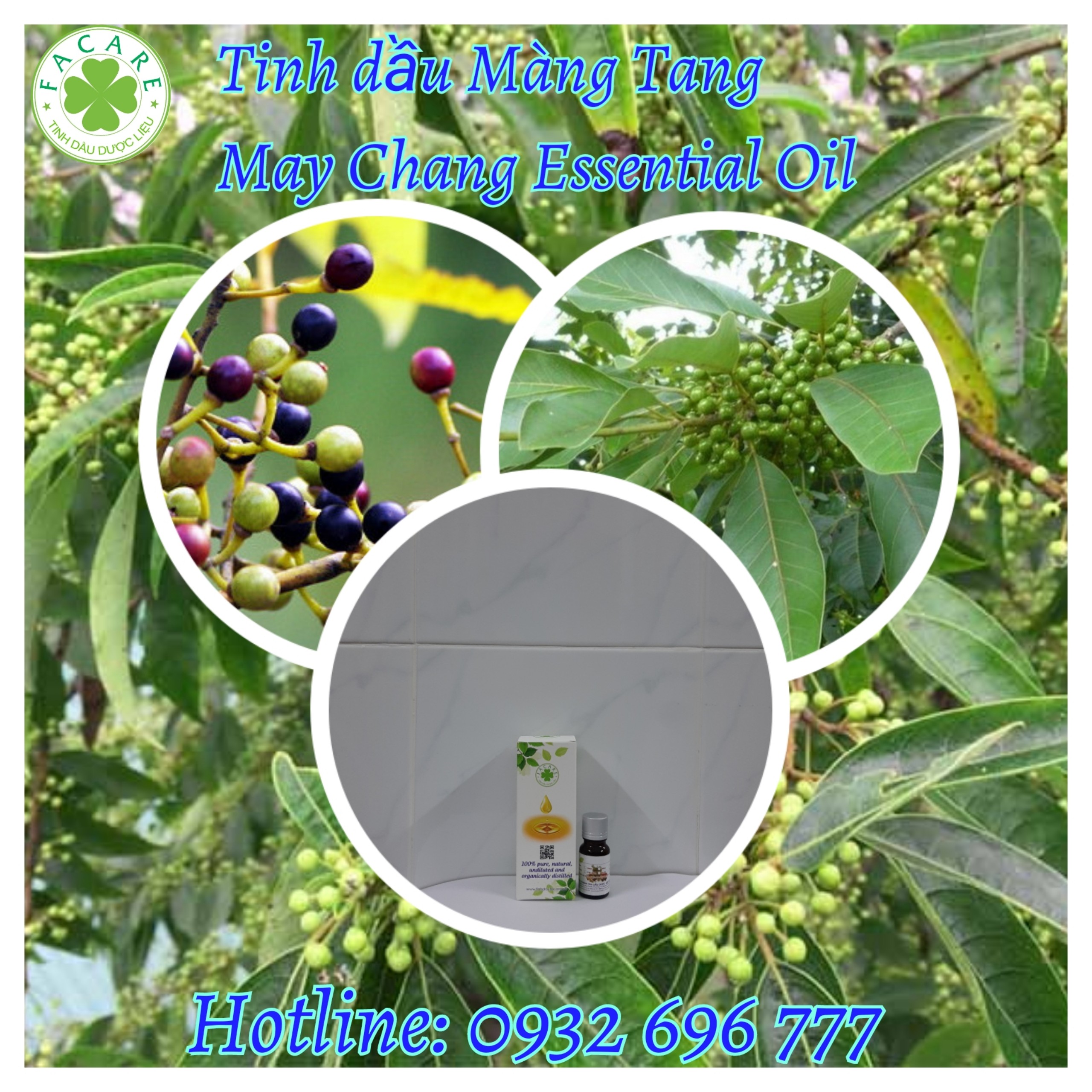 Tinh dầu Màng tang May chang essential oil - 10ml