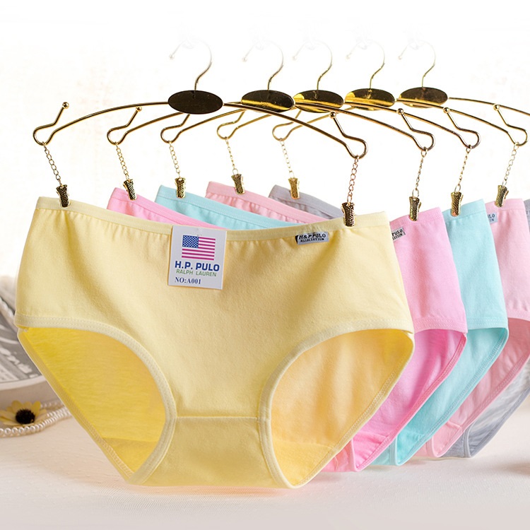 Combo 6 Quần Lót Nữ Cotton