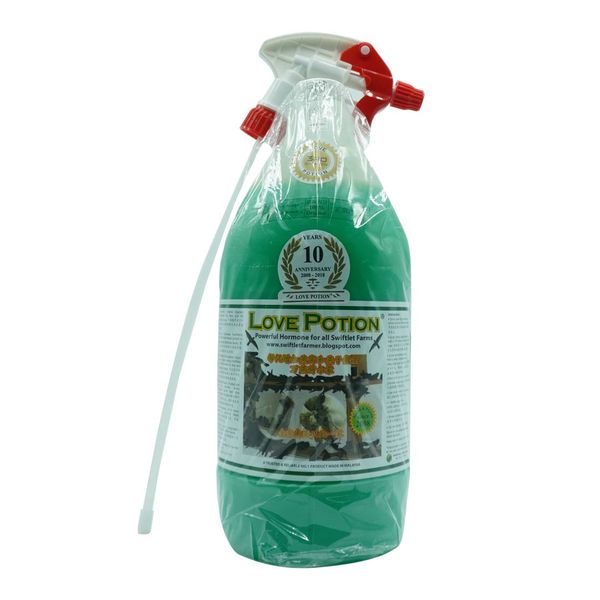 Mùi nhà yến tăng đàn Love Potion - Dũng Phi Yến