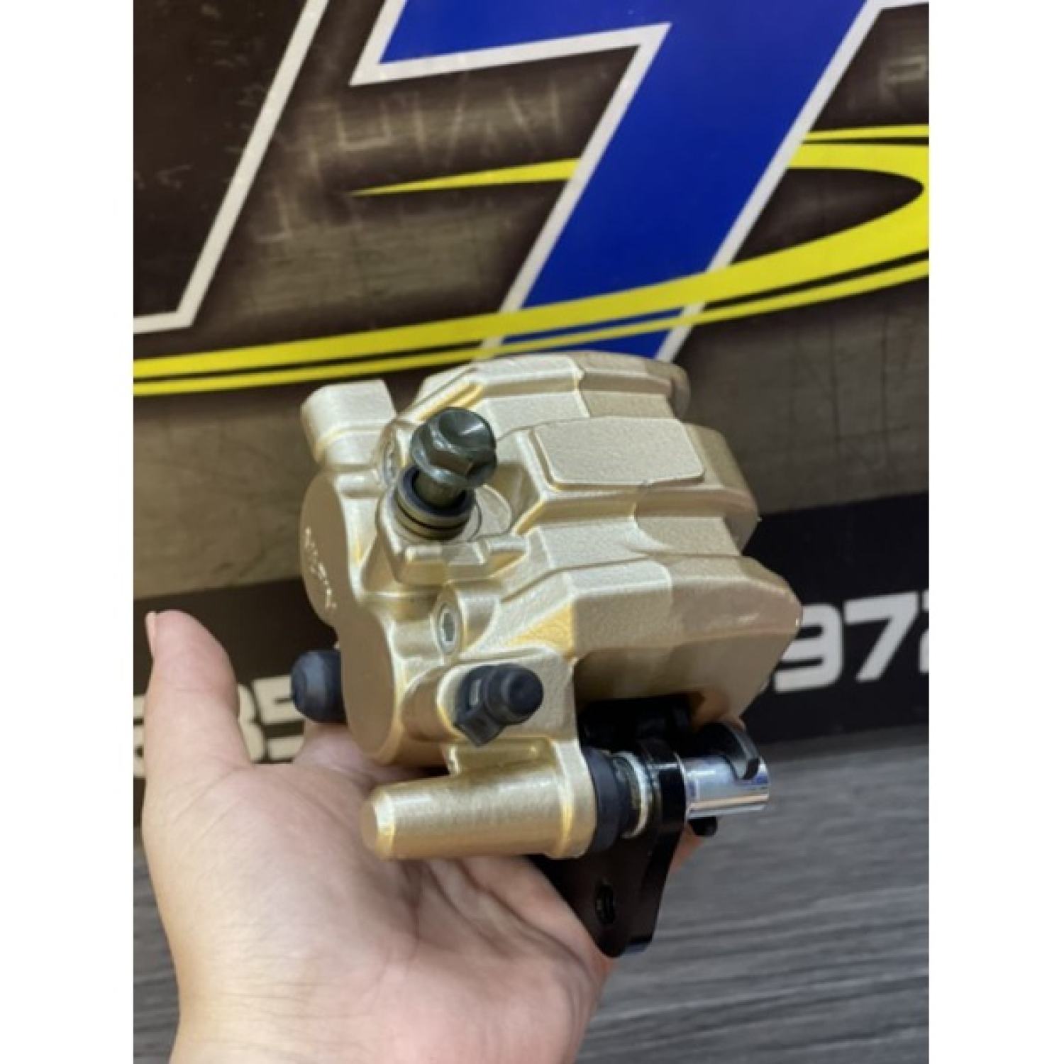 Heo dầu sport ĐL- Xipo - Satria - RGV