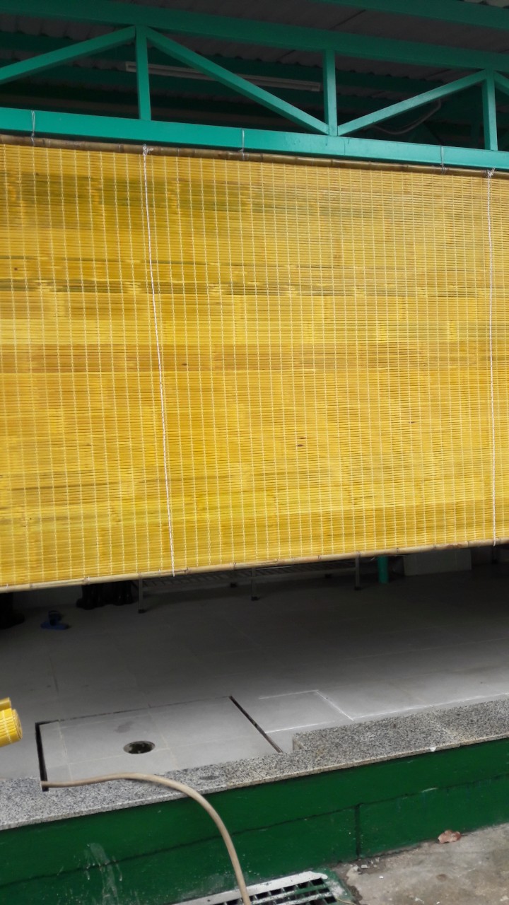 mành tre nắng , cật tre cạo vỏ sơn pu màu vàng rộng 1m8 x cao1m50 x 2m x2m50 x3m ,rèm tre  cửa sổ màn che mưa  ,mành tre trúc có dây kéo đầy đủ