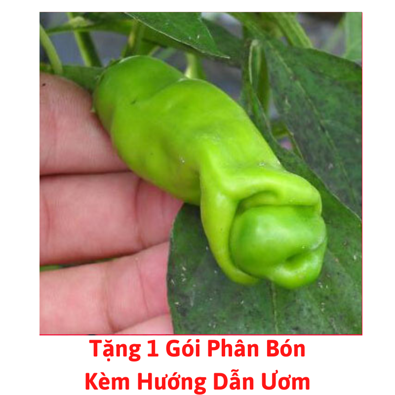 [Lấy mã giảm thêm 30%] Gói Hạt Giống Ớt Cu Tý ( Ớt Peter )