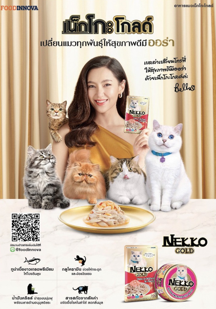 Thailand imported cat Pate Nekko gold