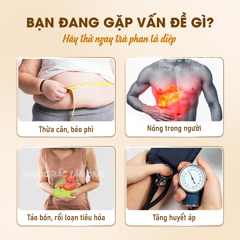 Lá phan tả diệp 200g, trà phan tả, lá xanh, thơm, không vụn, hỗ trợ thải độc, táo bón - Lãn Ông