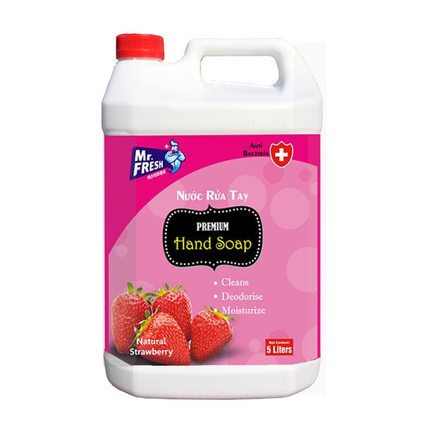 [HCM]Nước rửa tay Premium Hand Soap Mr Fresh Hàn Quốc 5L