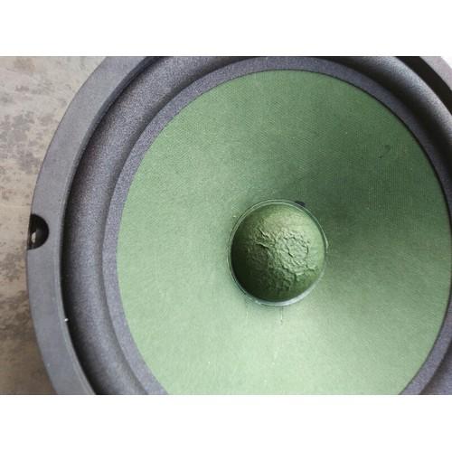1 LOA BASS 25cm từ đơn 113mm (1 CỦ)