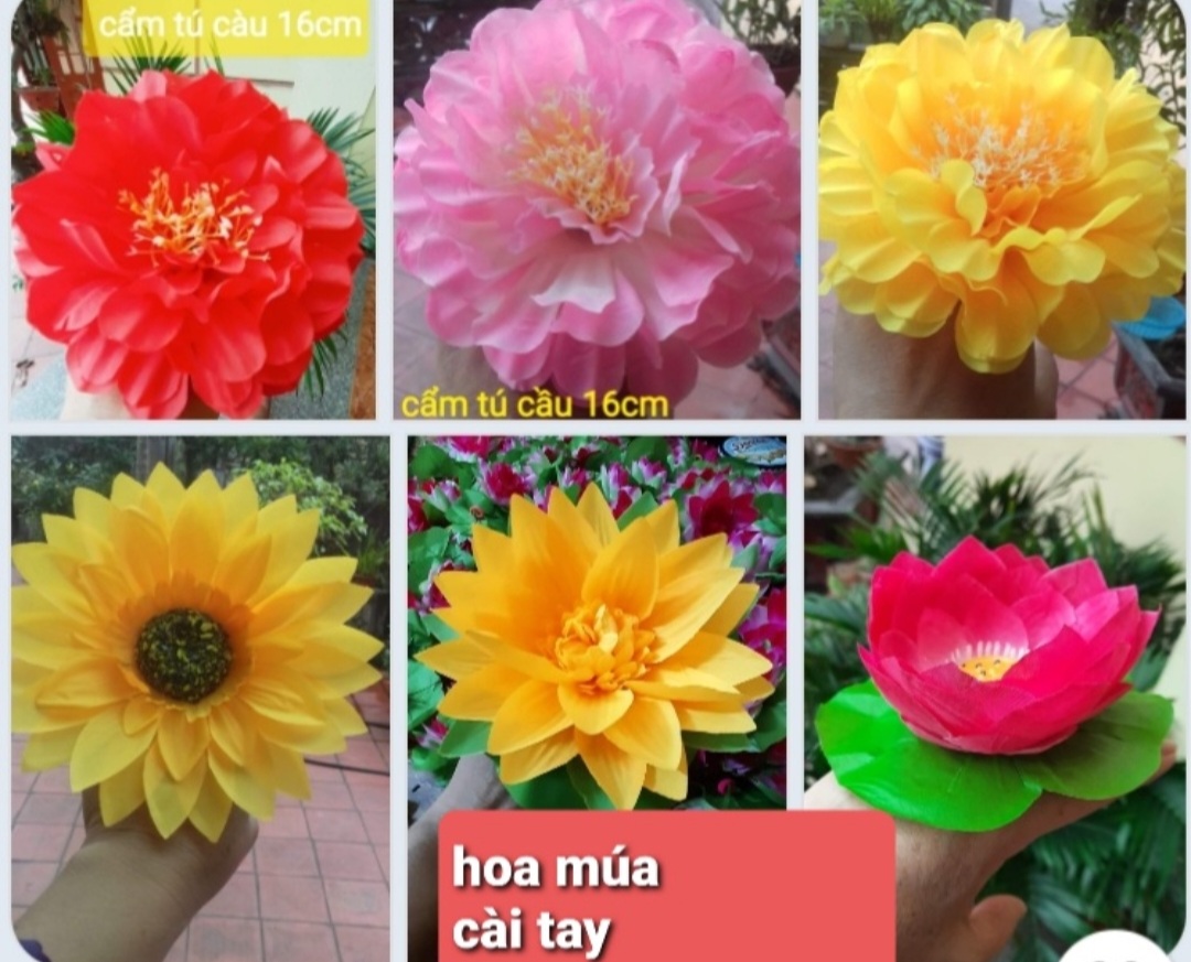 Hoa múa hướng dương lụa có đính thun
