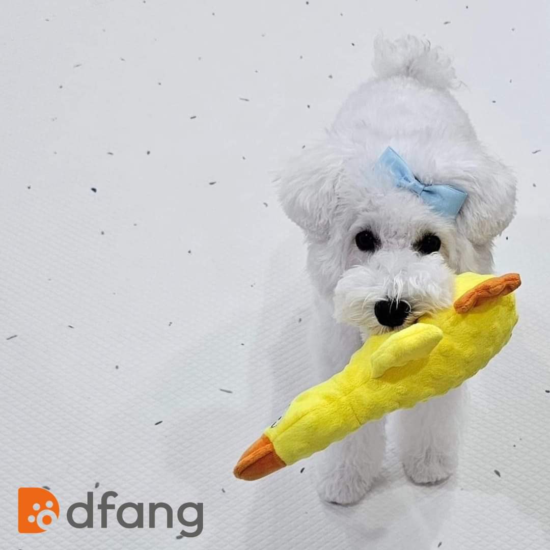 DFANG - Thảm nhảy chống trượt cho thú cưng (Chó mèo)