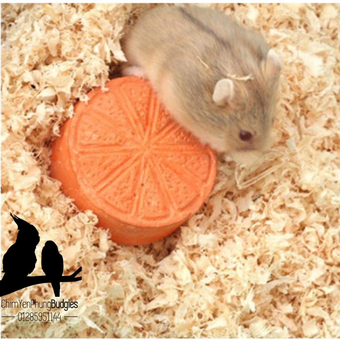 🌿 1 Cây Mùn Cưa Nén Tự Nhiên – Lót Chuồng Cho Hamster, Thỏ & Bọ