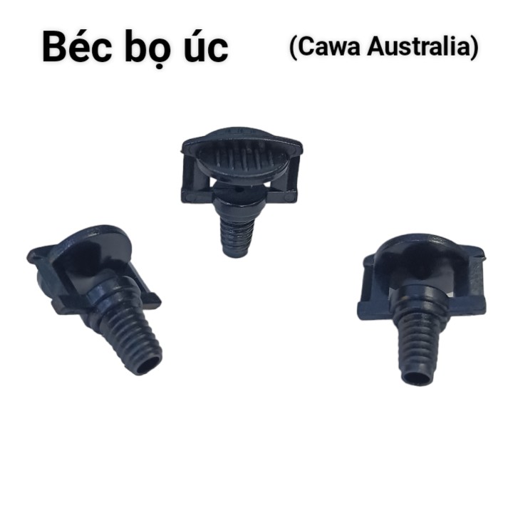 Béc bọ úc, Béc tưới lan