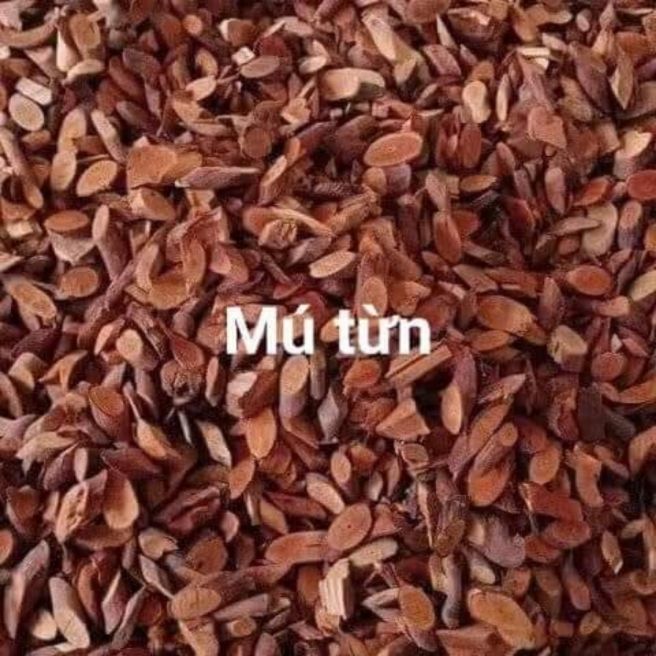 Sỉ toàn quốc 3kg cây mú từn - tráng dương bổ thận