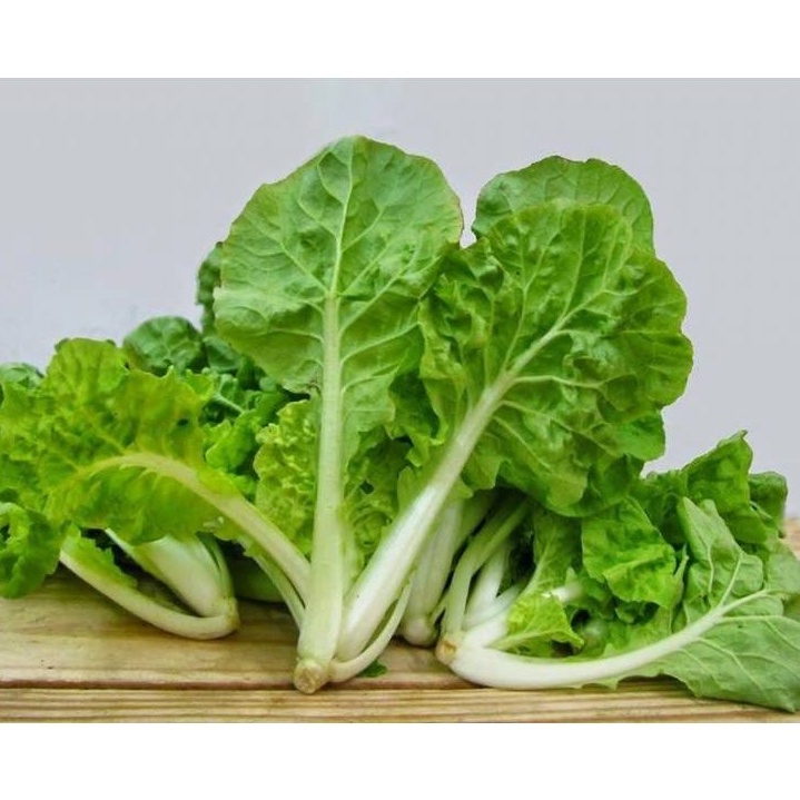 Hạt giống cải bẹ dún , đóng gói 20gr