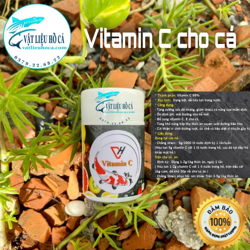[Mã 158FMCGSALE giảm 7% tối đa 100K đơn 500K] Vitamin c cho cá | hủ 50g