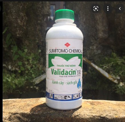 Thuốc trừ nấm bệnh héo cây con Validacin 5SL 450ml