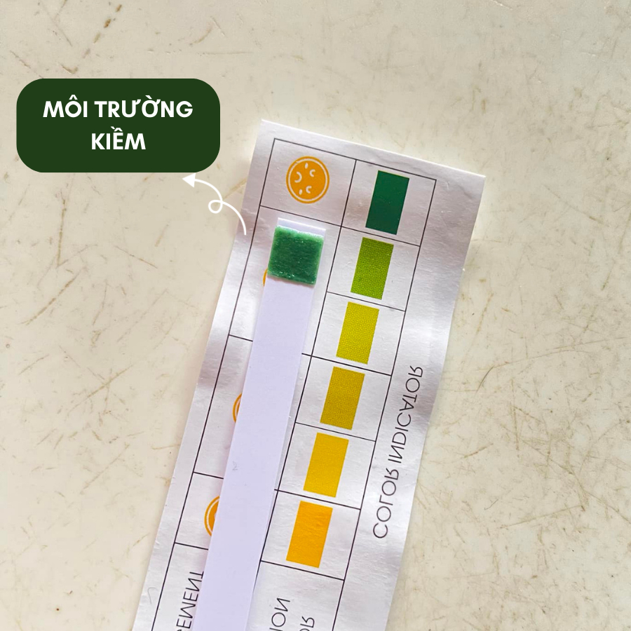 Que thử Kiềm - Axit - PH âm đạo và tinh dịch đồ