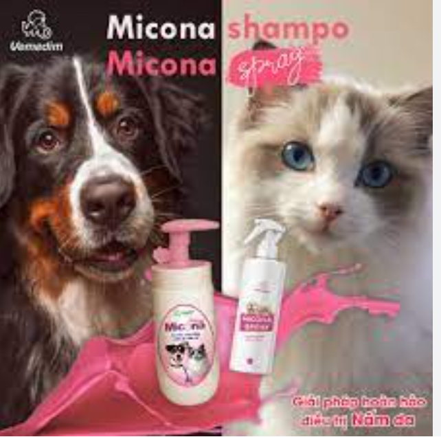 Dầu tắm trị nấm và viêm da cho chó micona