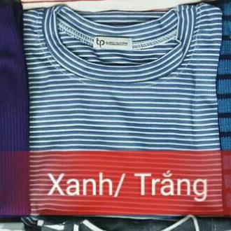 Áo Tay Dài Nữ Sọc Kẻ