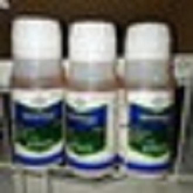 Movento 150Od Mealybug Insecticide 100ml