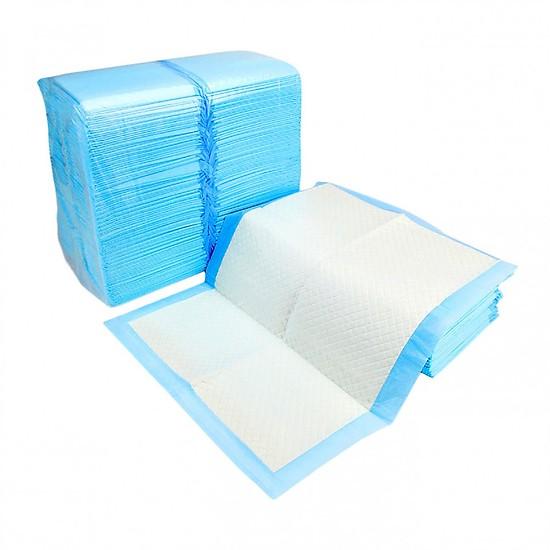 10 Miếng tã lót khay vệ sinh chó MÀU XANH / tã lót chuồng chó / giấy lót chuồng chó mèo / tã giấy lót chuồng chó, lót sàn xe/ giấy vệ sinh chuột hamster