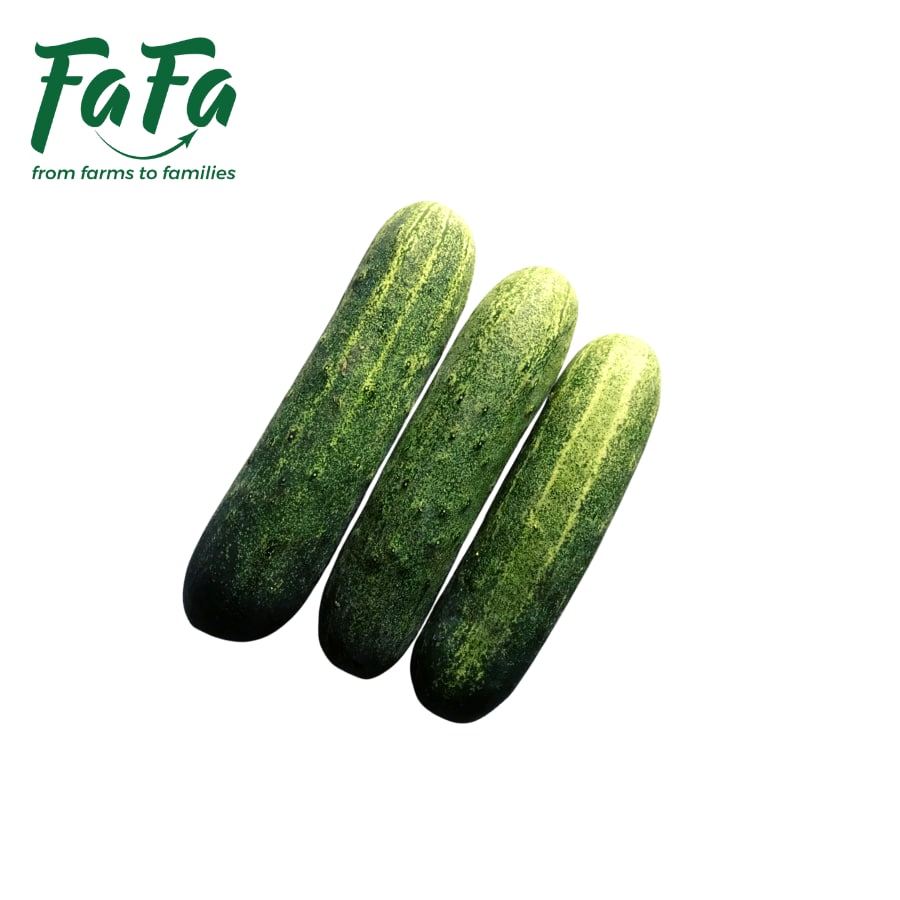 Dưa Leo FAFA 500gr/túi