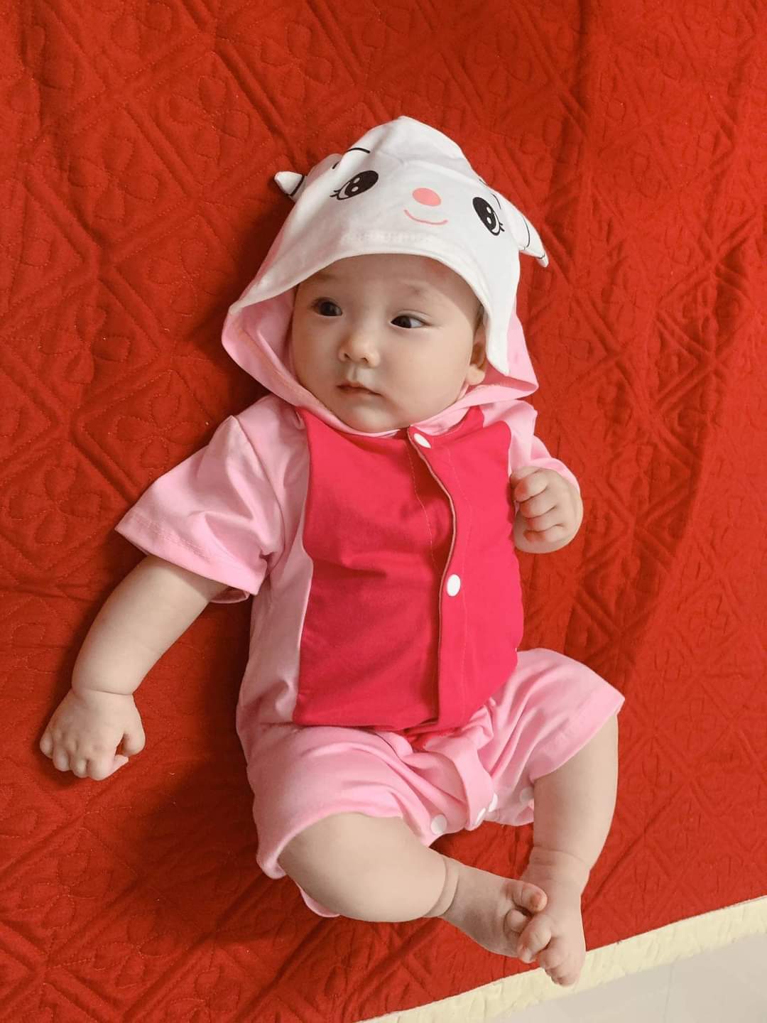 [HCM]BODY THÚ CHO BÉ ĐA DẠNG MẪU SIZE 4-18KG