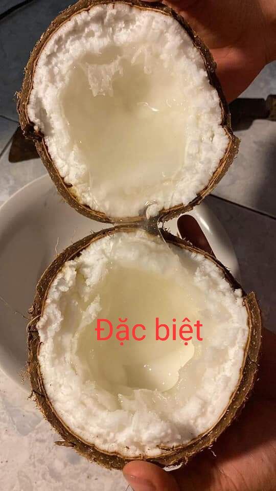 Dừa Sáp Cầu Kè Đặc Sản Độc Lạ Trà Vinh