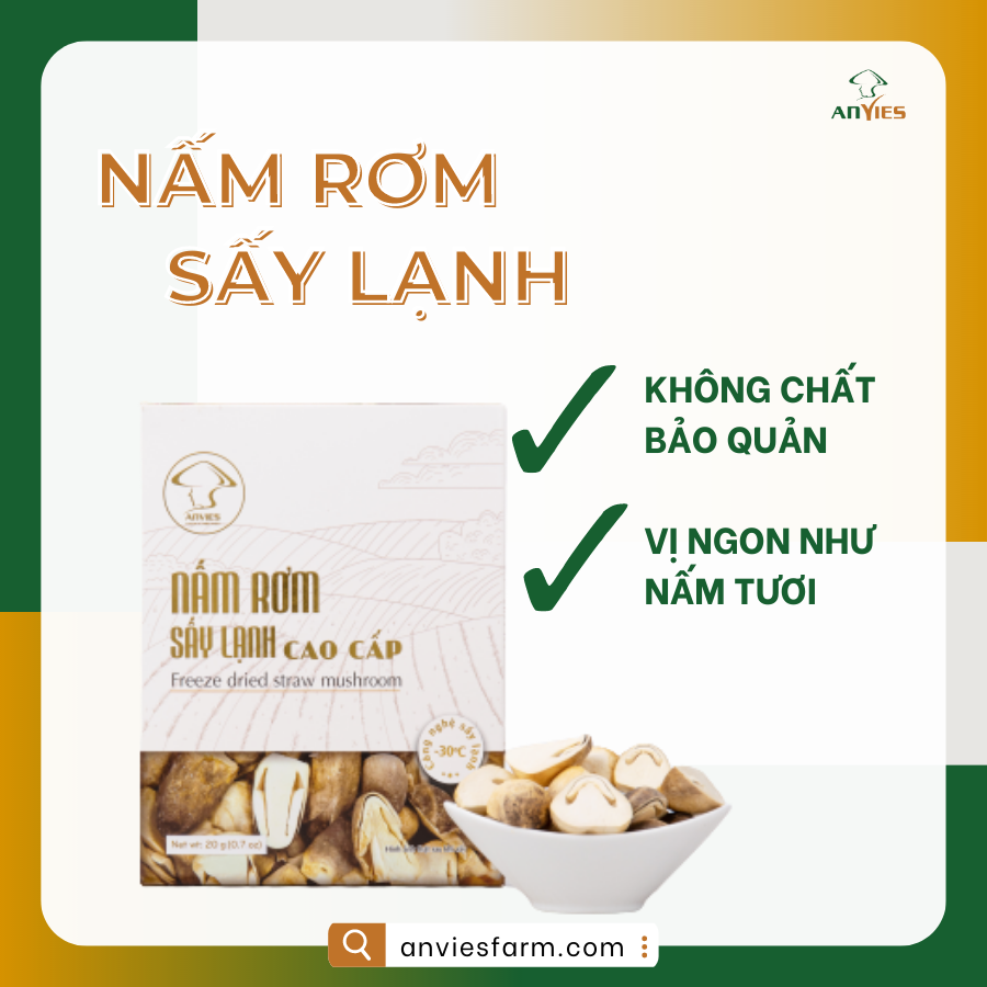 Nấm Rơm Sấy Lạnh Anvies Giữ Trọn Vẹn Dinh Dưỡng Vitamin Và Khoáng Chất - 50g sấy khô tương đương 750g nấm tươi