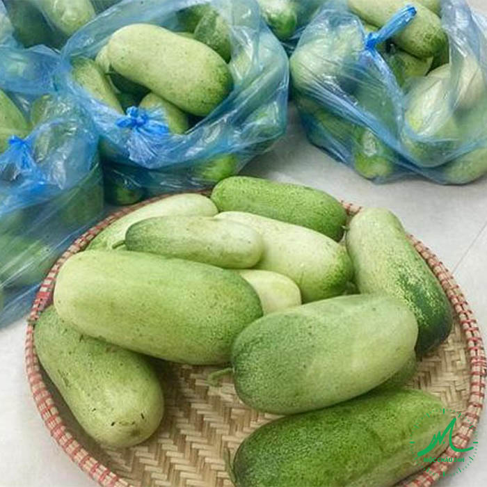Hạt giống dưa mèo tây bắc, dưa khổng lồ (gói 30 hạt)