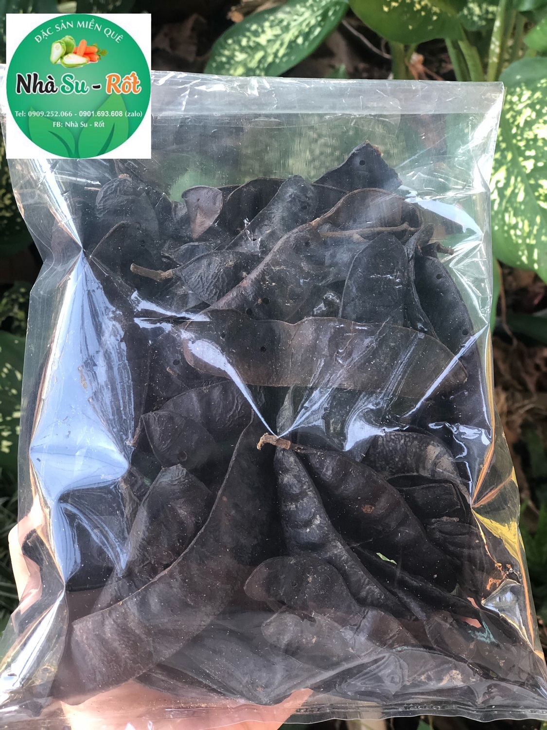 200g Bồ kết trái khô