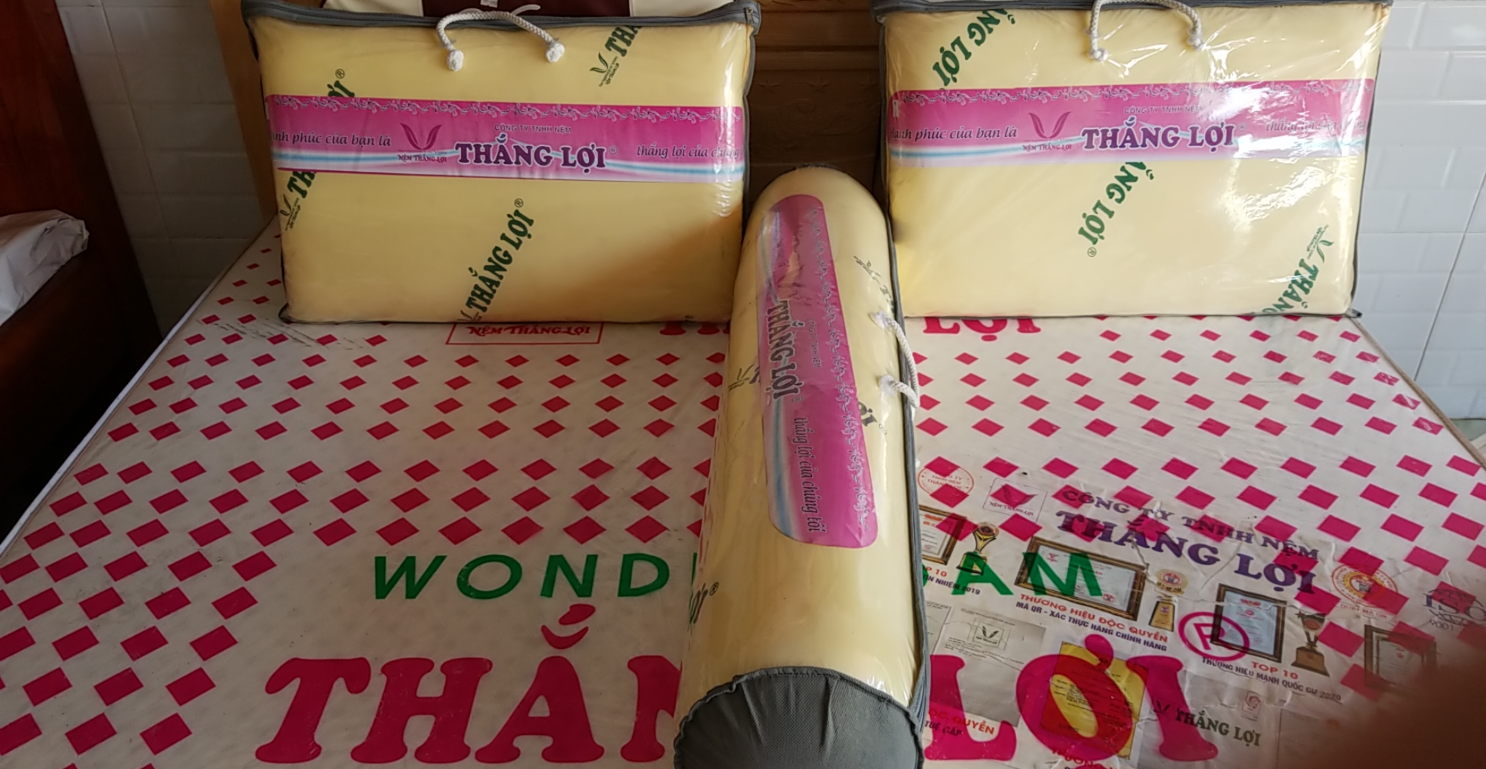 [HCM]Gối CAO SU NON THẮNG LỢI 40*60 Cao Cấp