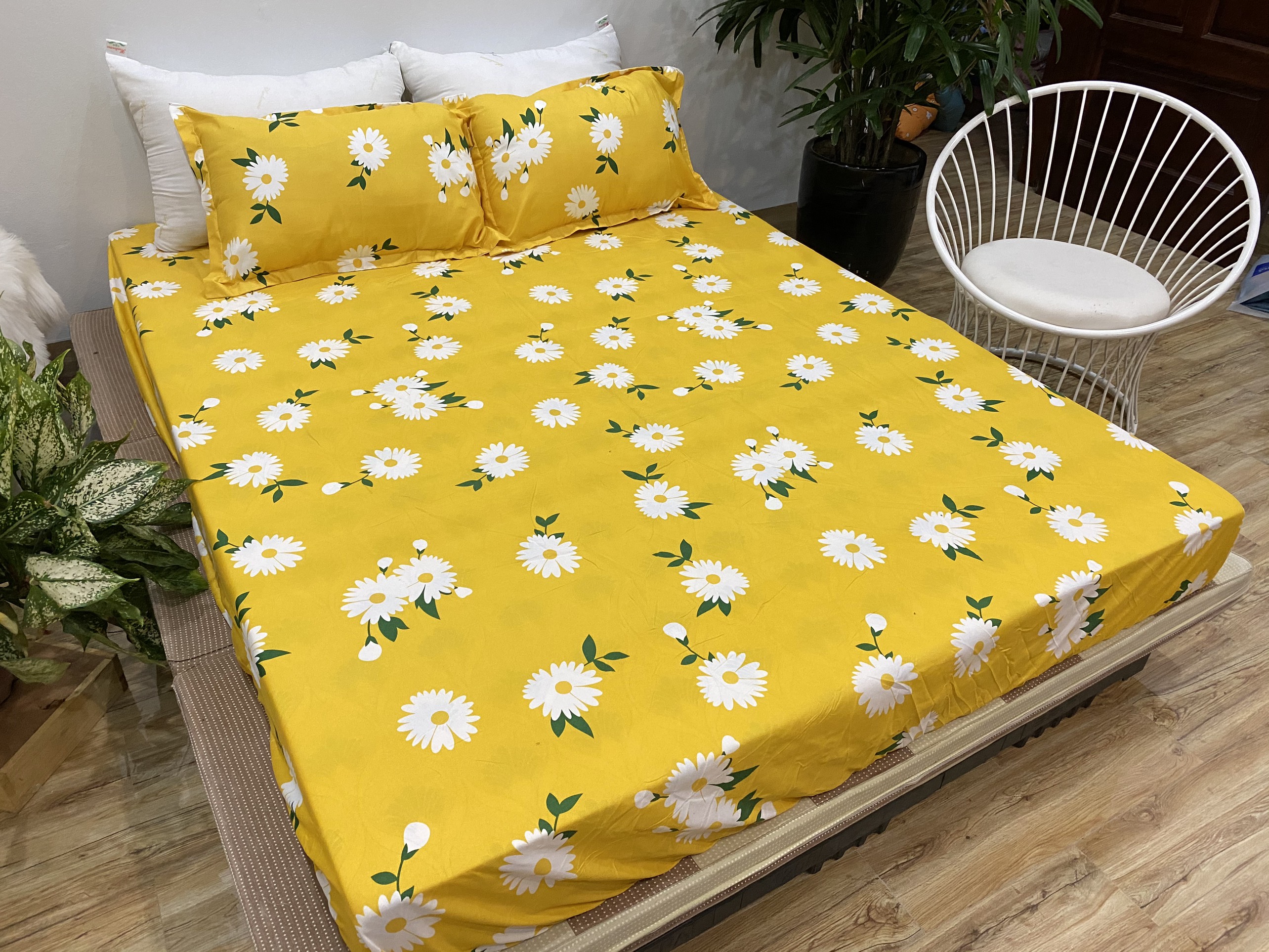 Bộ Ga Gối 3 Món ( Gồm 1 Ga Bo Chun + 2 Vỏ Gối) Mã CH213