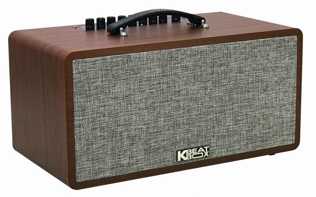 [HCM][Trả góp 0%]Dàn Âm Thanh Di Động ACNOS CS390