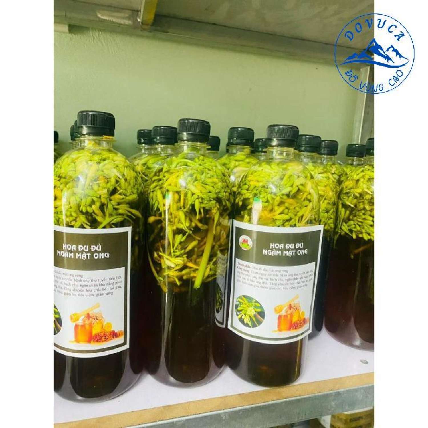 Hoa đu đủ đực ngâm mật ong rừng