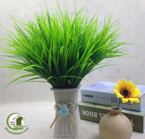 [HCM]Bụi cỏ lúa màu xanh